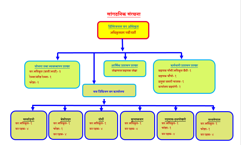 संगाठानिक संरचना